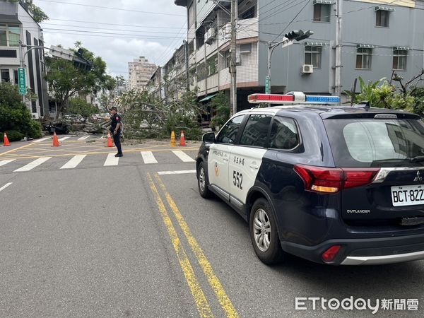 ▲▼台中一棵路樹突然倒塌，橫躺路面壓毀3輛車。（圖／民眾提供，下同）