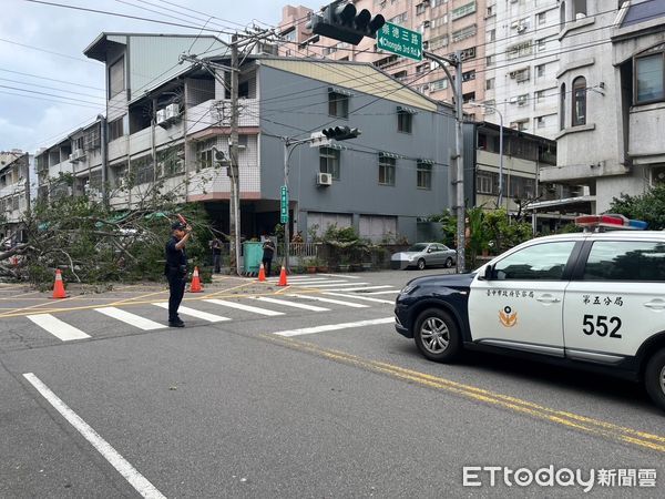 ▲▼台中一棵路樹突然倒塌，橫躺路面壓毀3輛車。（圖／民眾提供，下同）