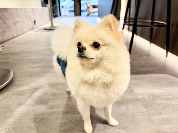 ▲▼不正 Crooked Thumb coffee。（圖／部落客viviyu授權提供）