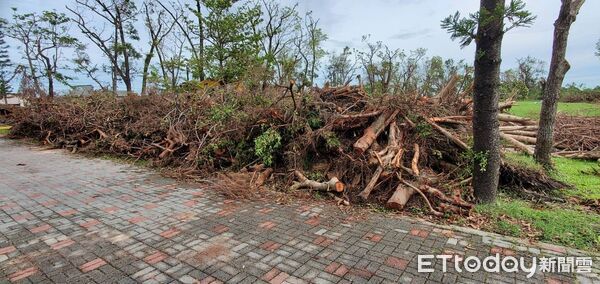 ▲台南市校園災後復原行動快速啟動，在教育局與各校通力合作下，截至7月25日，全市校園整體復原率已突破九成。（圖／記者林東良翻攝，下同）