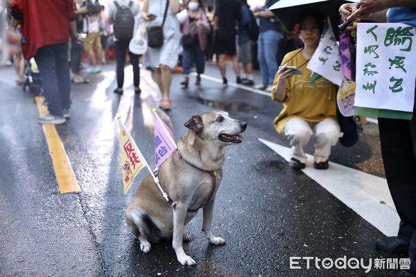 ▲▼罷團於立法院外濟南路舉辦【為民主守夜 公民集氣晚會】  。（圖／記者李毓康攝）