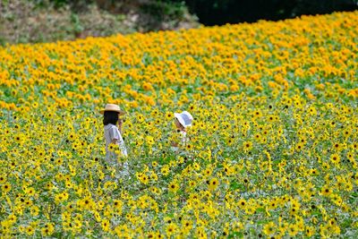 廣島夏日玩法　向日葵花海必拍