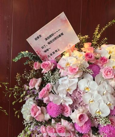 獨家／「記得歸巢」洗金欸　F4二度合體時間曝光