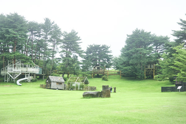 ▲▼廣島玩法。（圖／HIT廣島縣觀光聯盟）
