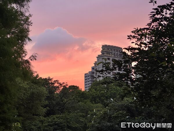▲大安森林公園大生態池,大生態池「鳥島」,大安森林公園。（圖／記者彭懷玉攝）