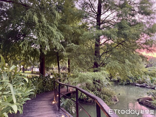 ▲大安森林公園大生態池,大生態池「鳥島」,大安森林公園。（圖／記者彭懷玉攝）