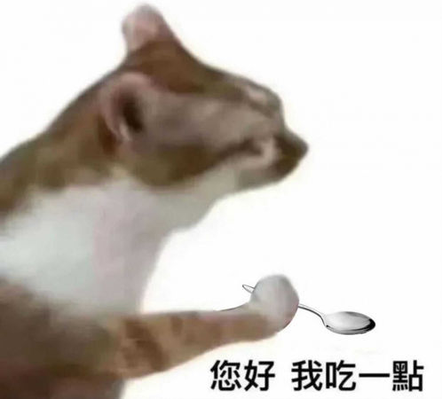 （圖／翻攝自Threads）