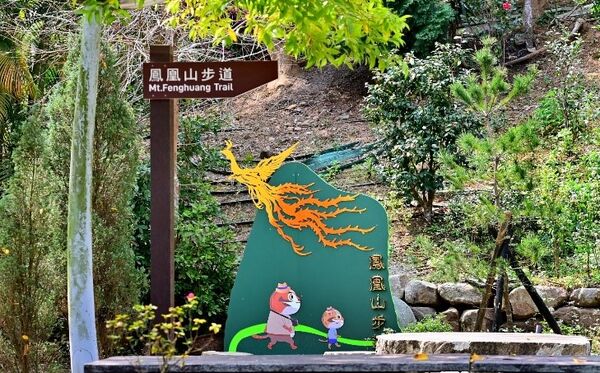 ▲鳳凰山登山步道。（圖／台中市觀旅局提供）
