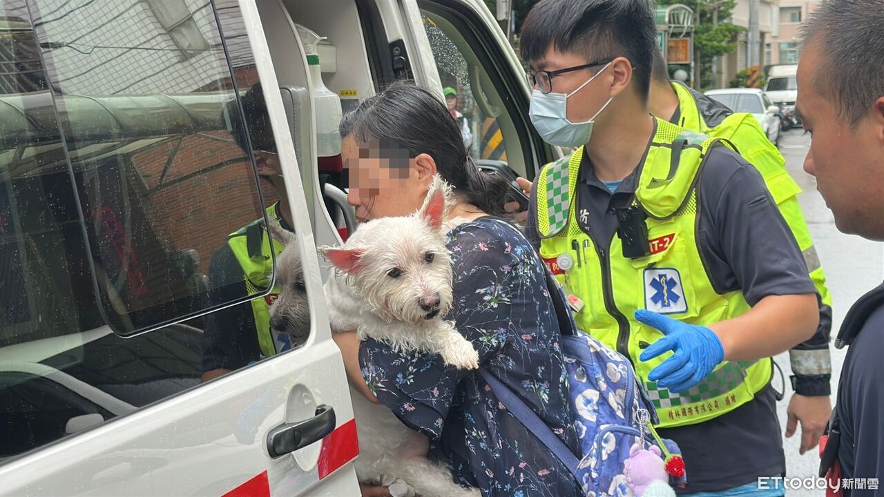 台中社區大樓火警！6人嗆傷送醫　母女抱愛犬上救護車：我的生命