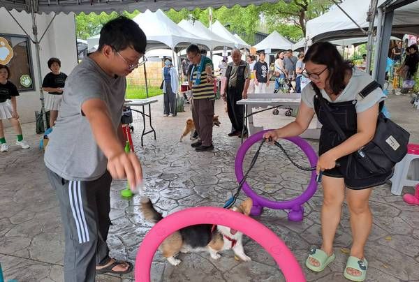 桃園寵物嘉年華登場　蘇俊賓：「三箭齊發」推動寵物友善城市