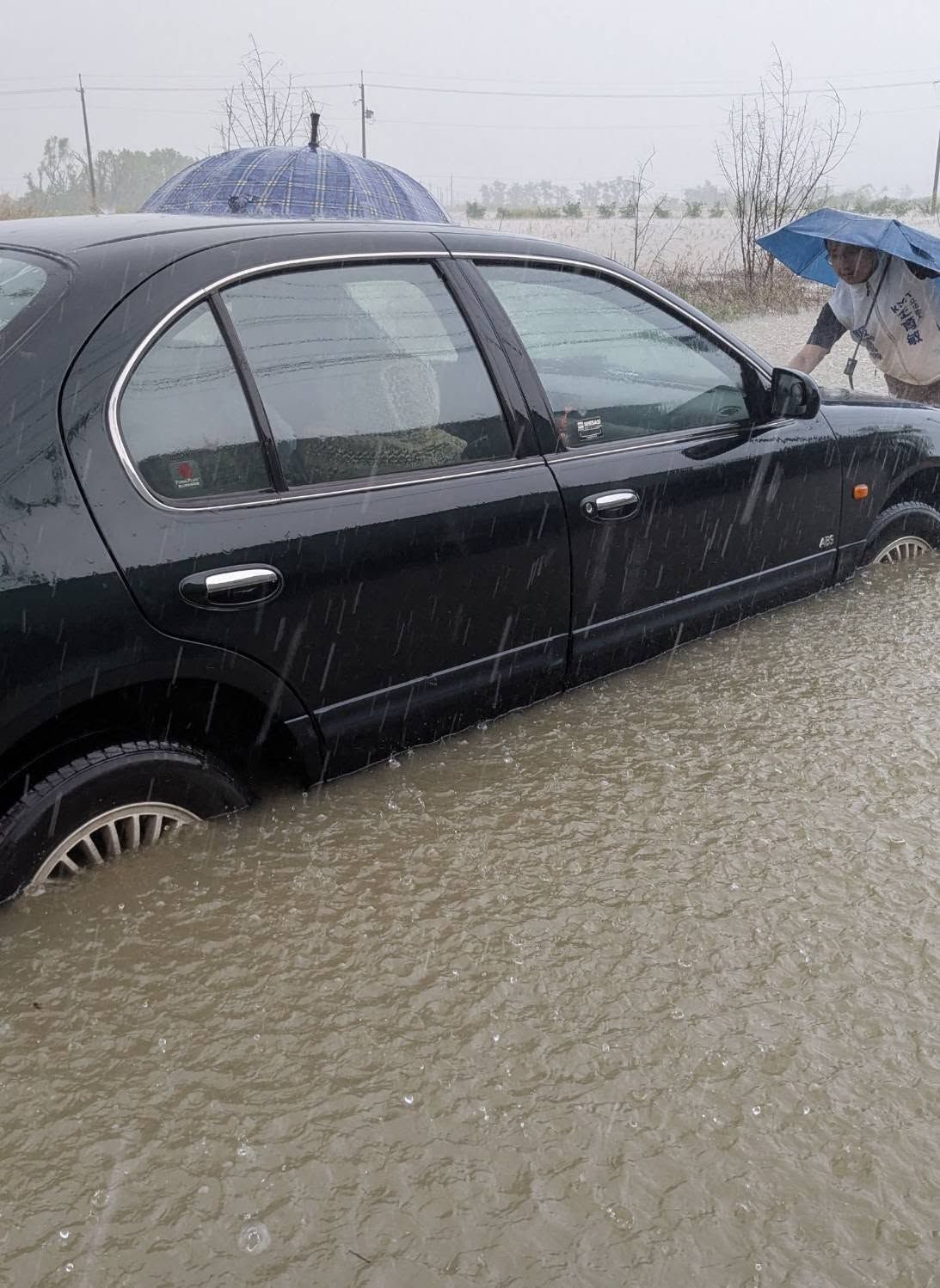 ▲▼立法院經濟委員會安排嘉義縣考察，車隊經過鄉道嘉22線時遭遇淹水拋錨，水的高度超過半個輪胎。（圖／翻攝自Facebook／王育敏）