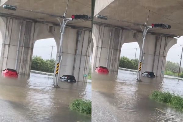 ▲▼             。（圖／網友授權）