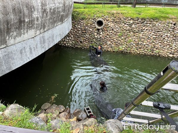 ▲屏東2公園鴨鵝數量過多。（圖／屏東縣政府提供）
