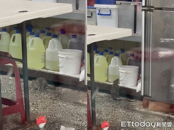 ▲用餐客人直擊老鼠出沒。（圖／翻攝自threads/baby__330888授權）