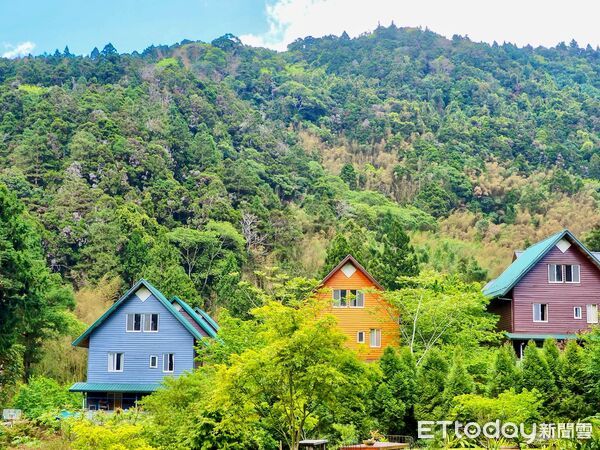 ▲▼  阿里山部落探險、茶香森林浴專案一泊三食專車接駁，最夯的秘境探索，阿里山賓館推小瑞士之稱彩虹村    。（圖／阿里山賓館提供）