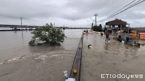 ▲嘉義淹水養豬場災情慘重，有豬農飼養的3500隻豬隻「剩不到100隻」。（圖／記者翁伊森翻攝，下同）