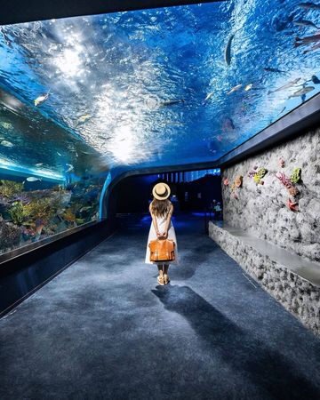 ▲▼九個沖繩必訪景點一次看！（圖／ReadyGo提供）