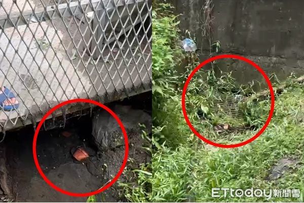 ▲▼             里長將行李箱拖出後，恐怖箱屍案才因此曝光。（圖／記者陳以昇攝，下同）