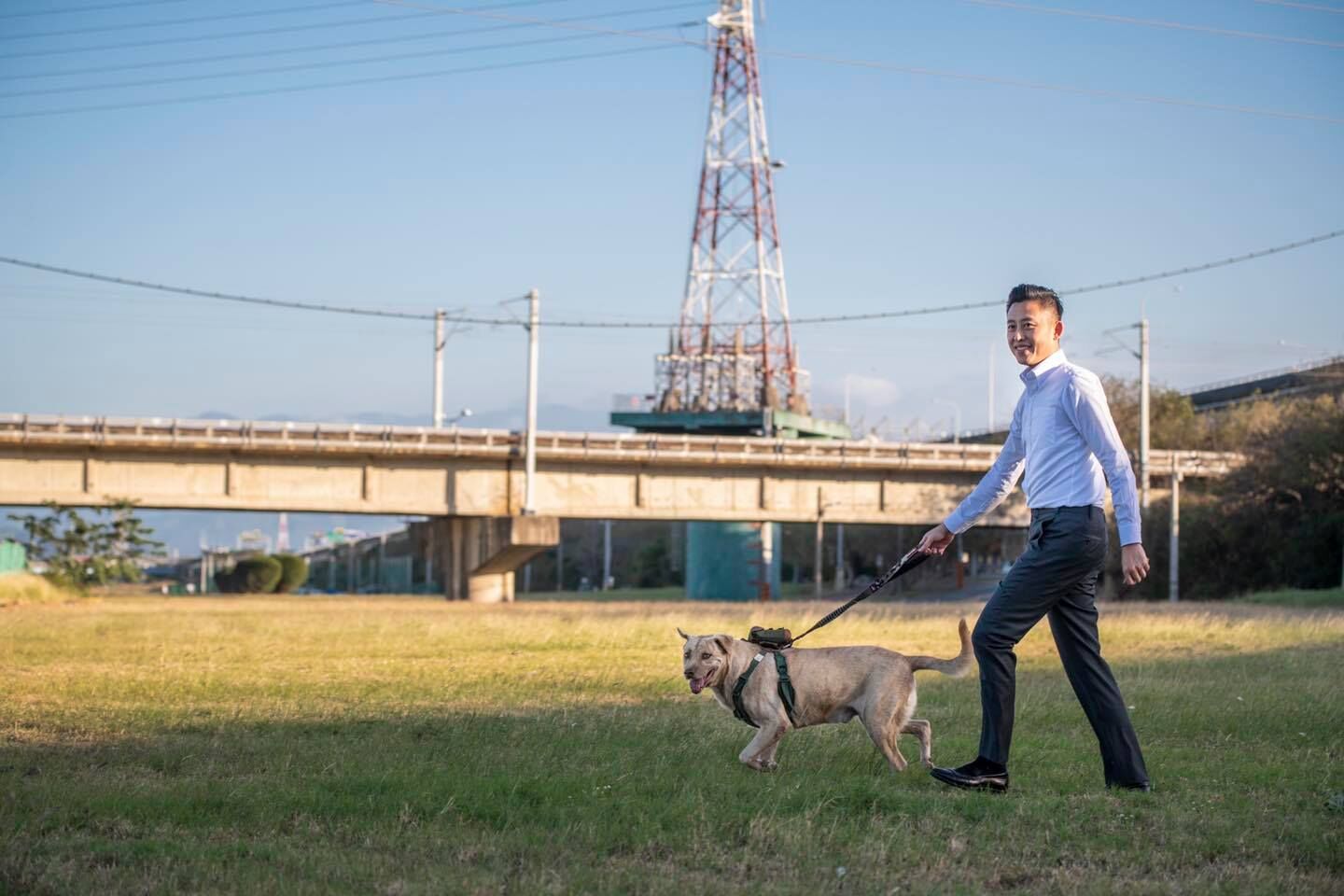 ▲▼新竹市市犬「棕棕」被林智堅送回收容所。（圖／翻攝臉書／林智堅）