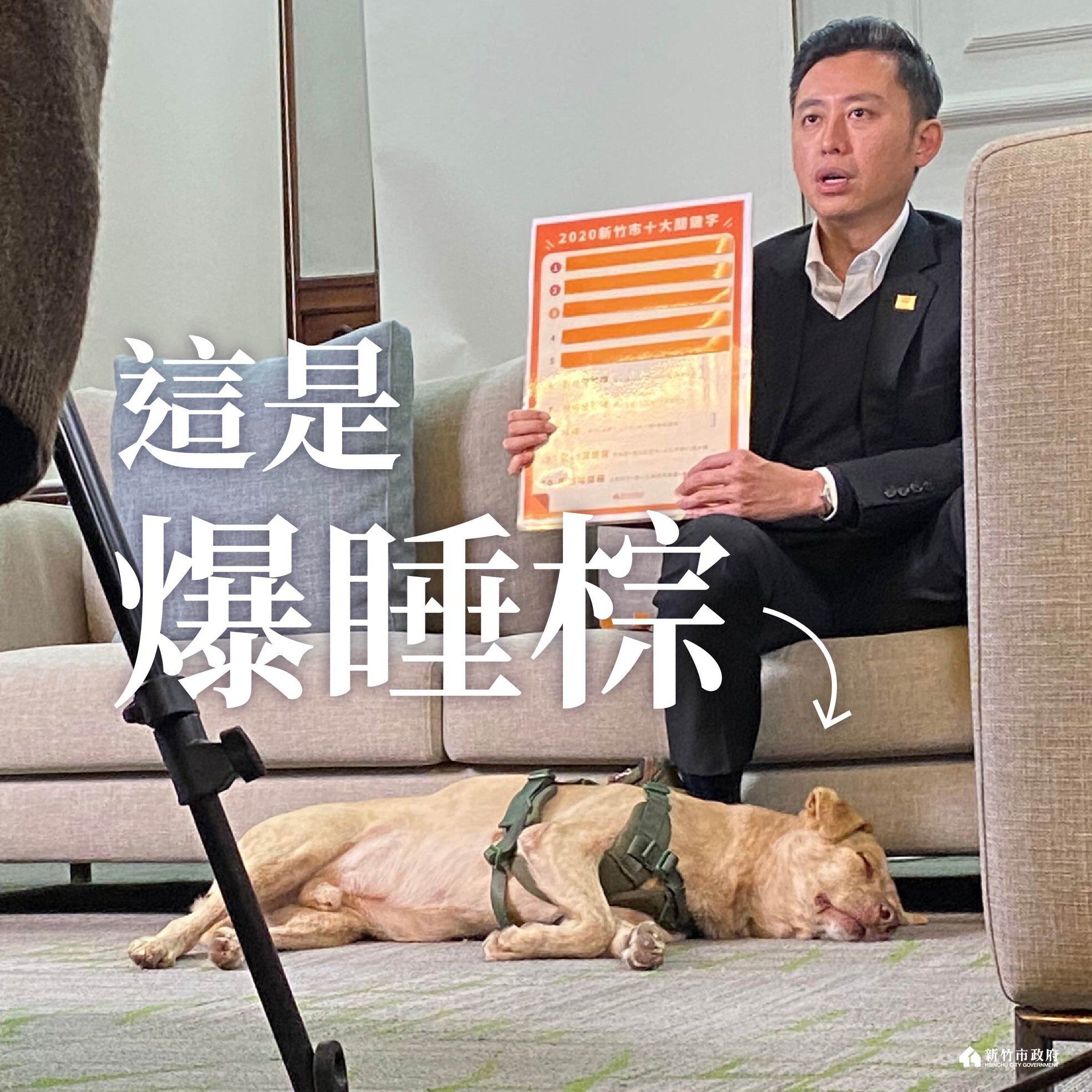 ▲▼新竹市市犬「棕棕」被林智堅送回收容所。（圖／翻攝臉書／林智堅）