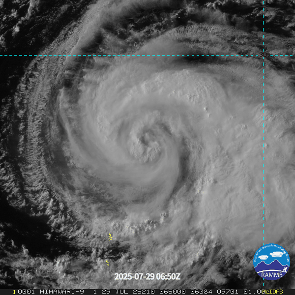 ▲▼             。（圖／中央氣象署、翻攝RAMMB、NII、日本氣象廳）