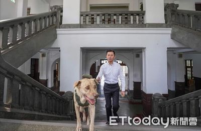 快訊/市犬棕棕遭送回收容所 林智堅道歉了:確實不夠周全與嚴謹