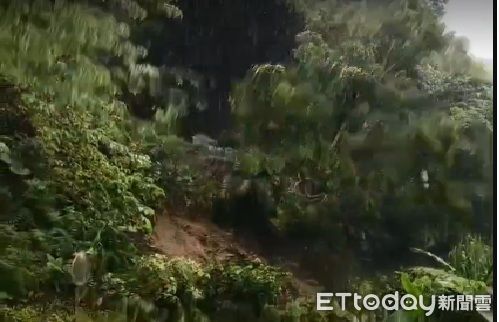 ▲苗栗山區道路多坍方，泰安鄉大安聯絡道有民眾直擊邊坡樹木崩落，怵目驚心。（圖／記者楊永盛翻攝）