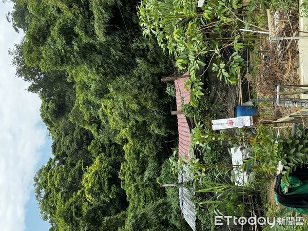 ▲▼             。（圖／記者黃宥寧翻攝）