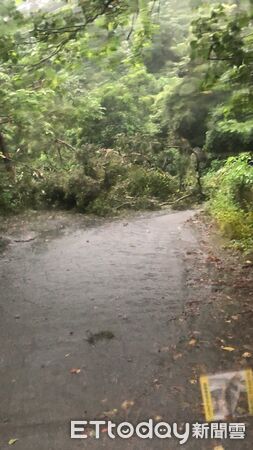 ▲持續大豪雨造成信義鄉傳出數起災情。（圖／記者高堂堯翻攝）