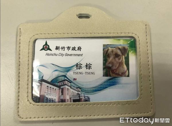 棕棕。（圖／新竹市政府提供／資料照片）