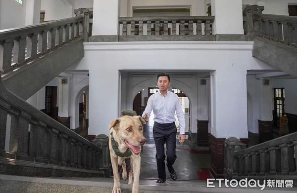 快訊／前新竹市犬「棕棕」送養中　林智堅回應了