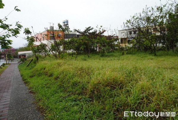▲太麻里日昇大道旁907坪美地，臨近台9線、太麻里車站、千禧曙光紀念園區，底價低於公告現值。（圖／花蓮執行分署提供，下同）