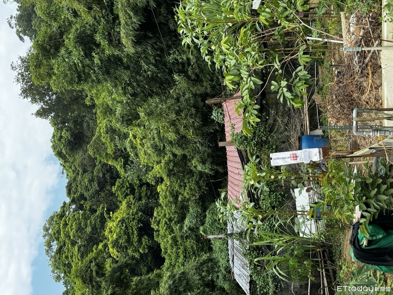 欠稅2.6億！美麗華董事名下內湖土地　士林分署8/5拍賣