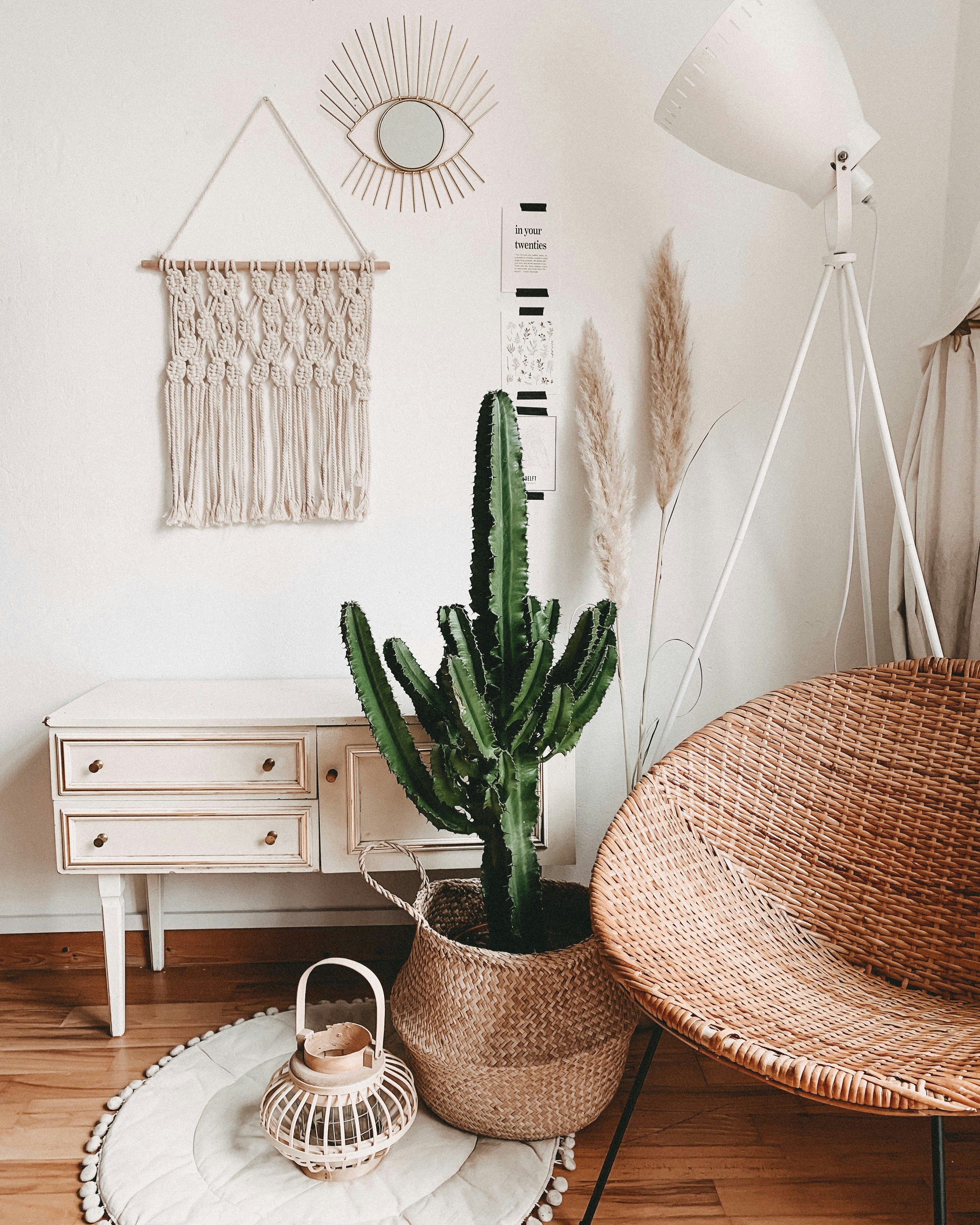 ▲親自然,客廳,居家,自然材質,植物,植栽,盆栽,綠色植物。（圖／unsplash）