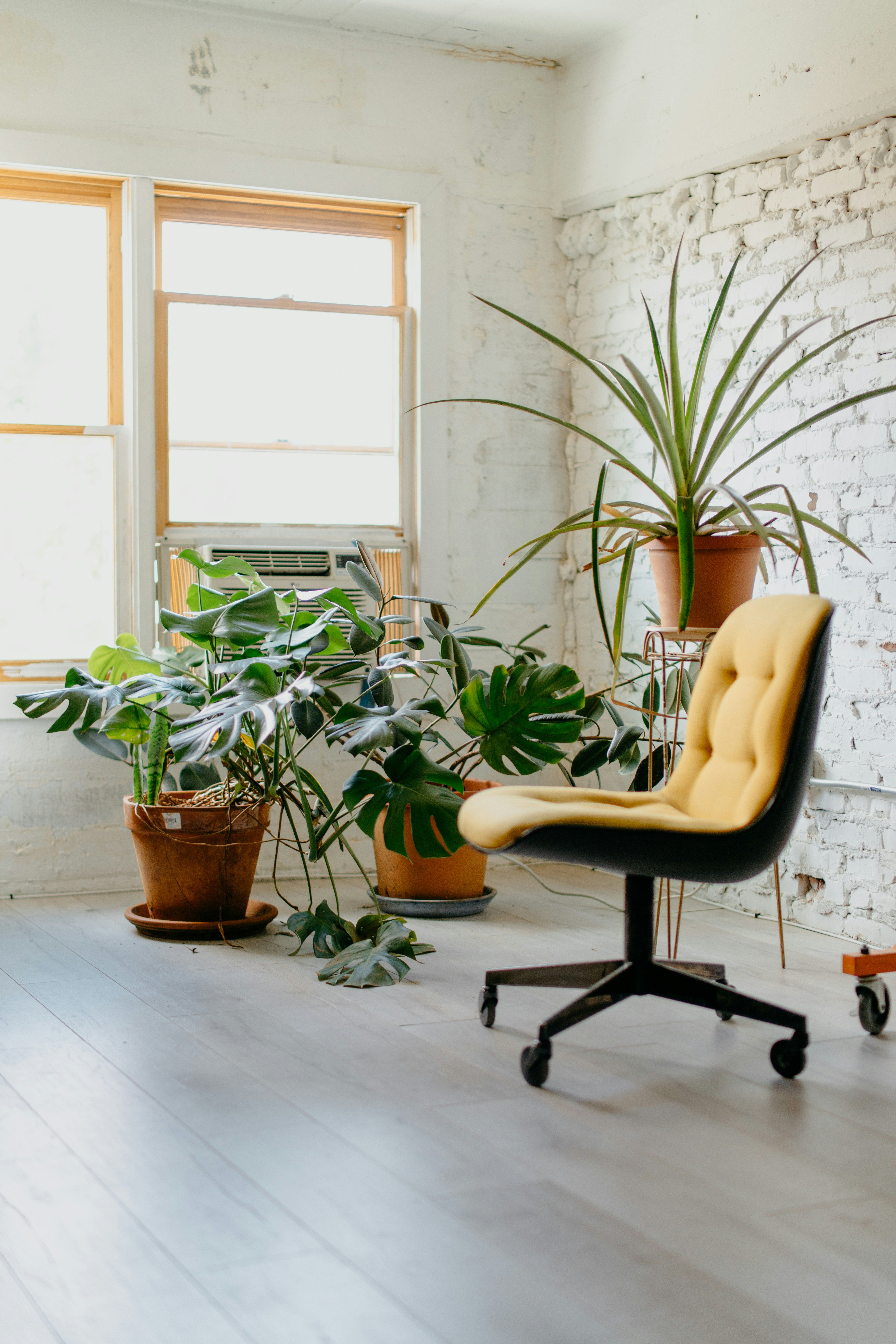 ▲親自然,客廳,居家,自然材質,植物,植栽,盆栽,綠色植物。（圖／unsplash）