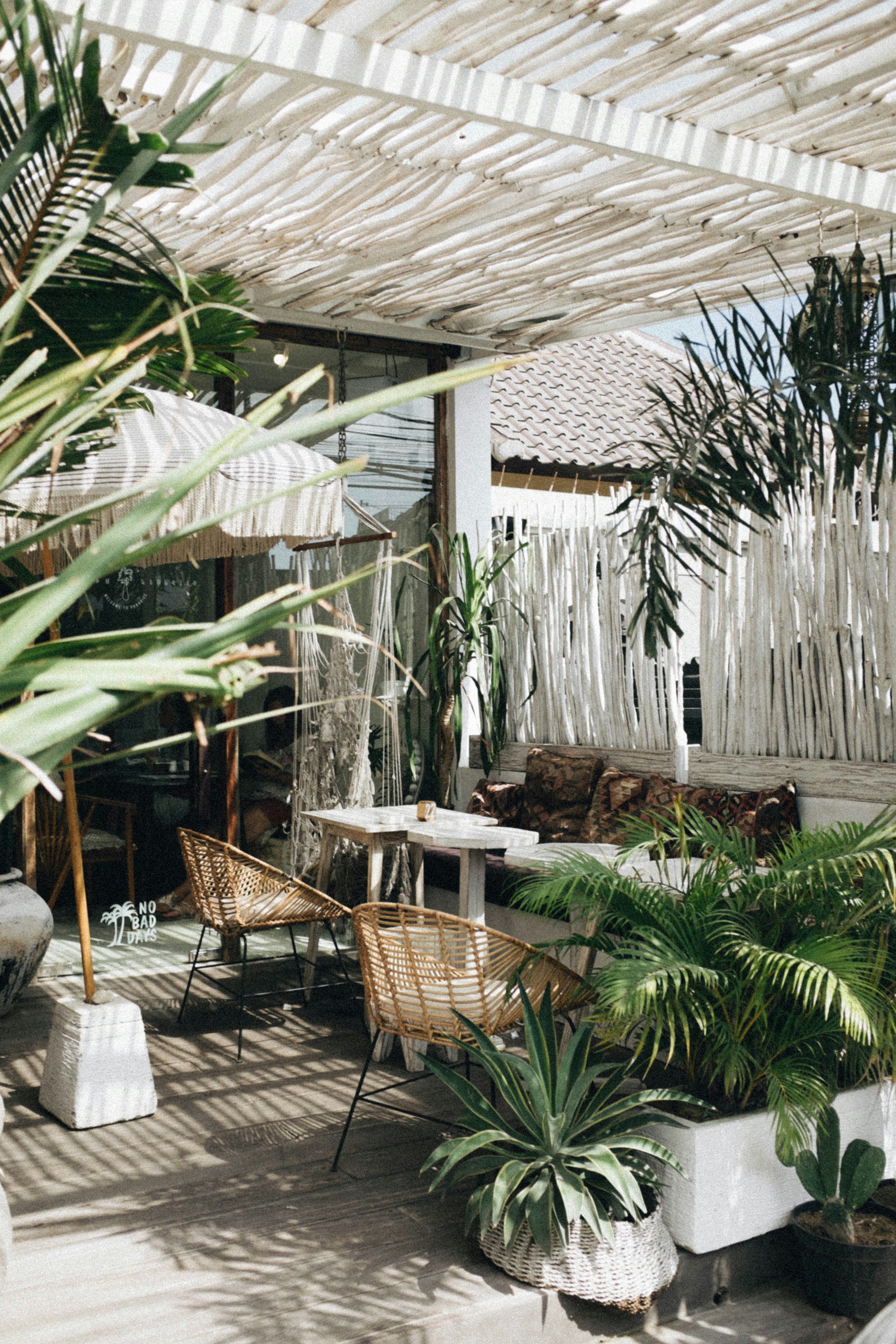 ▲親自然,客廳,居家,自然材質,植物,植栽,盆栽,綠色植物。（圖／unsplash）