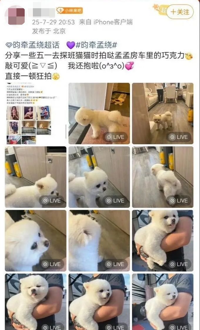 ▲▼《九重紫》孟子義房車遭陌生人闖入偷拍！經紀人道歉。（圖／翻攝自微博）