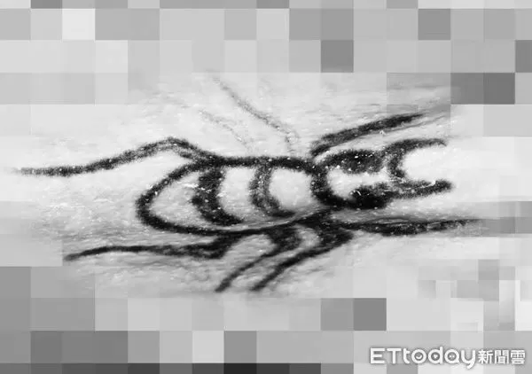 ▲▼警方公布死者背部巴掌大的蜘蛛圖樣刺青、紅色27吋行李箱             。（圖／記者陳以昇翻攝）