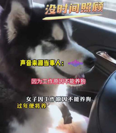 女子常常收到鄰居的投訴。（圖／翻攝自微博）