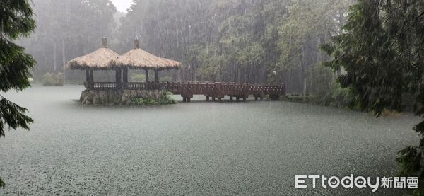 ▲▼    阿里山國家森林遊樂區「夏，星空電影院」延期辦理  。（圖／林業及自然保育署嘉義分署提供）