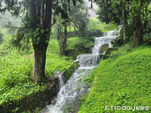 ▲▼    阿里山國家森林遊樂區「夏，星空電影院」延期辦理  。（圖／林業及自然保育署嘉義分署提供）