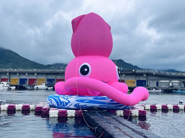 ▲由瑞芳區漁會主辦的「深澳小卷季」8月2日與8月3日進入最後兩天。（圖／新北市政府漁業處提供）