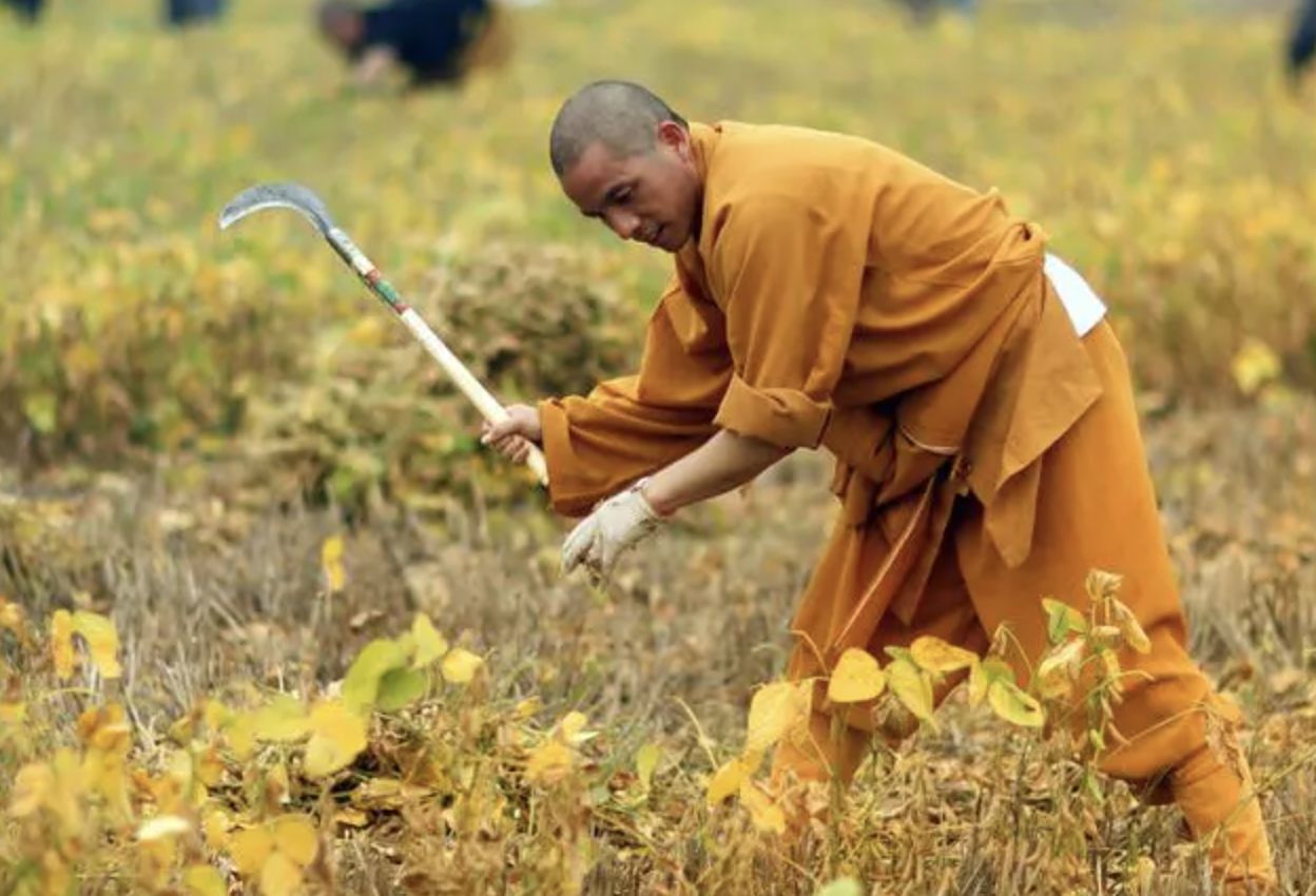 ▲少林寺新住持印樂法師。（圖／翻攝微博）
