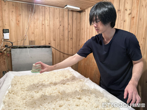 ▲▼      台灣稻米產業轉型       。（圖／記者林挺弘攝）