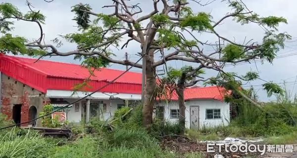 ▲風災後已20多天，災區隨著可見房屋屋頂以覆蓋帆布應急的景象，外面下雨屋內也下，日子不知怎麼過，苦不堪言。（圖／記者林東良翻攝，下同）