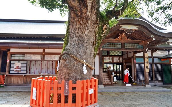 ▲▼宇佐神宮。（圖／部落客mika授權提供）