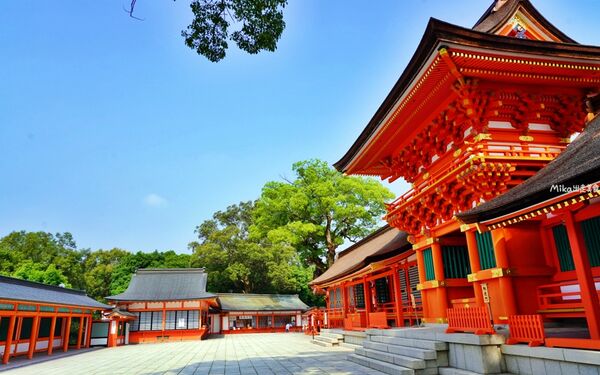 ▲▼宇佐神宮。（圖／部落客mika授權提供）