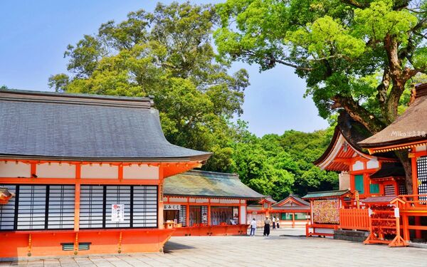 ▲▼宇佐神宮。（圖／部落客mika授權提供）