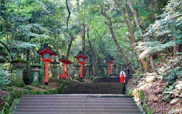 ▲▼宇佐神宮。（圖／部落客mika授權提供）