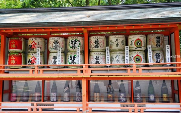 ▲▼宇佐神宮。（圖／部落客mika授權提供）